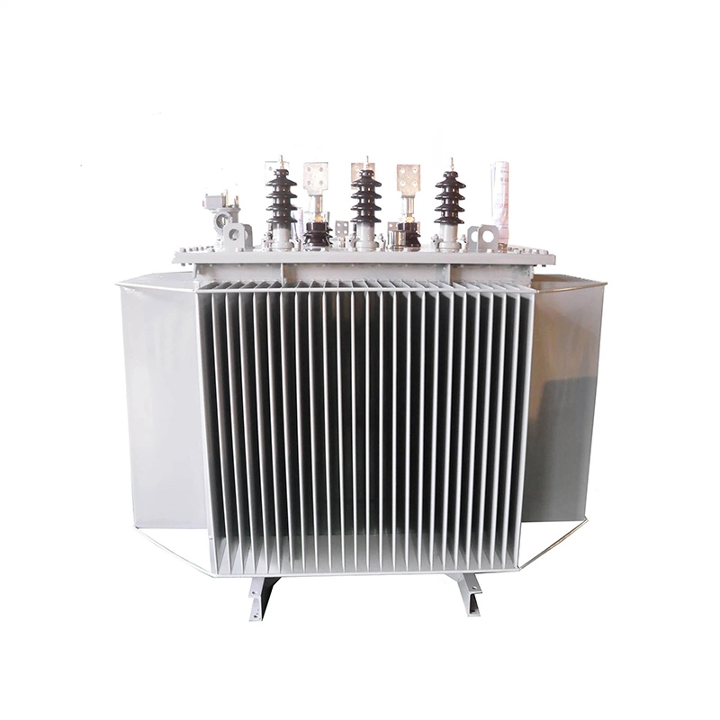 22kv Power Transformer 1000kva Oil Immersed